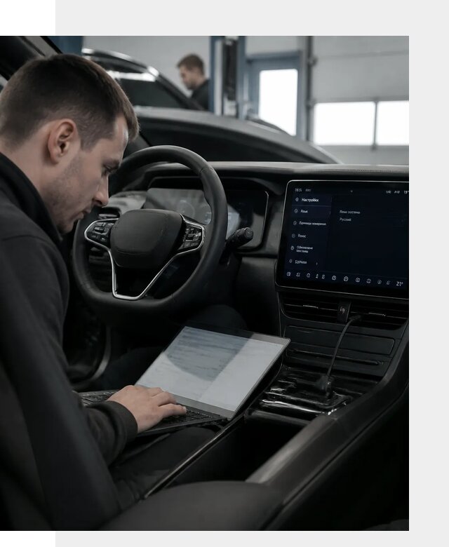 Русификация автомобилей BYD под ключ для всех моделей в Великих Луке