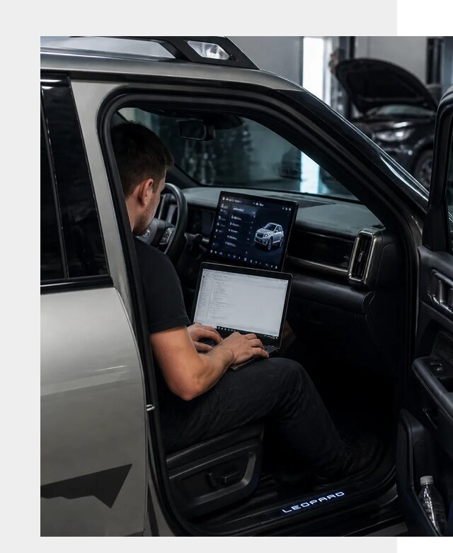 Русификация BYD Leopard 3 в Великих Луке по цене от 20571 р. | ФастМобиль-Вкл
